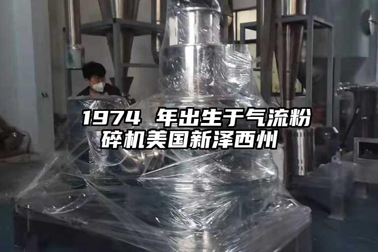  1974 年出生于气流茄子视频在线看污美国新泽西州