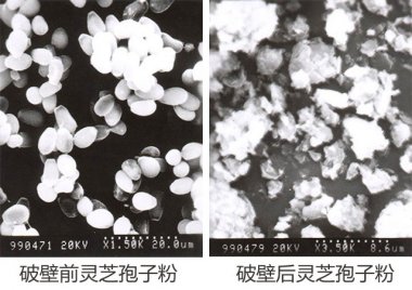 操作简便等气流茄子视频在线看污众多优点